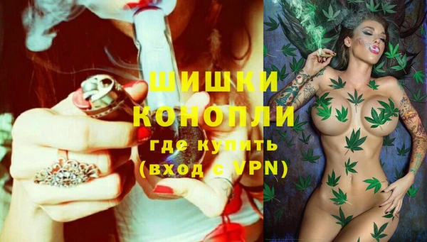 дурь Богородск