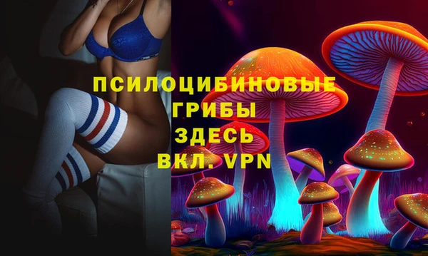 герыч Бронницы